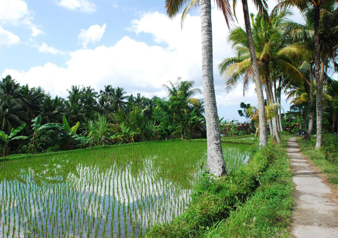 Capung Asri Eco Luxury Resort With Private Pool Villas Bedulu Exterior foto