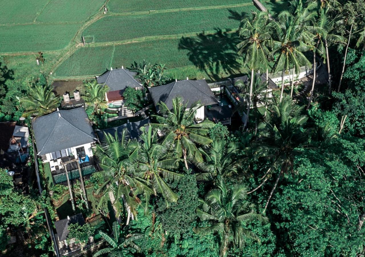 Capung Asri Eco Luxury Resort With Private Pool Villas Bedulu Exterior foto