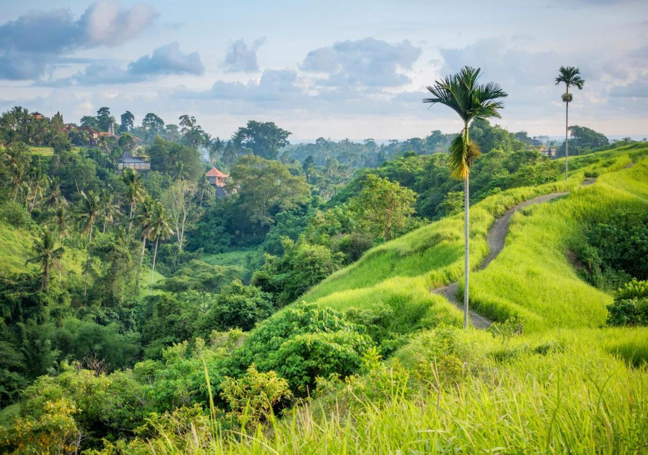 Capung Asri Eco Luxury Resort With Private Pool Villas Bedulu Exterior foto